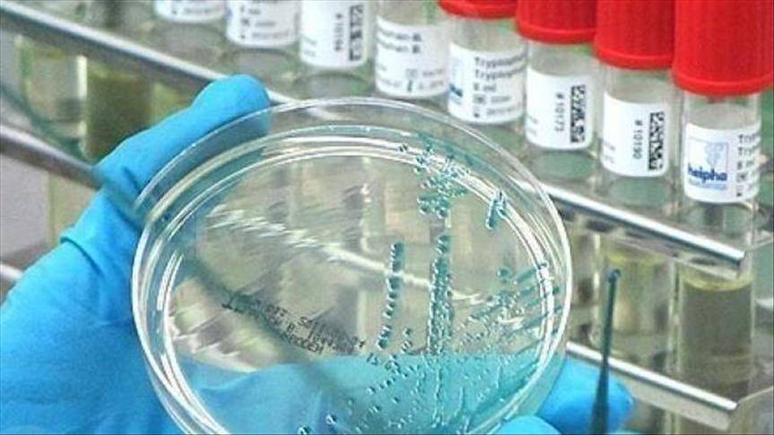 Sivrisinek ısırığı ölümcül virüsü taşıyor! Belirtileri görür görmez hastaneye gidin! 10